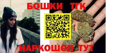 гашик Сланцы