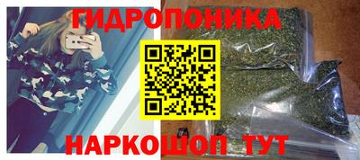 гашик Сланцы