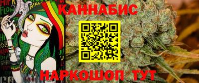 гашик Сланцы